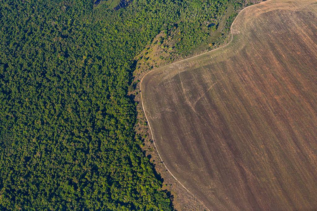 Perda de biodiversidade é a maior causa de surtos de doenças infecciosas