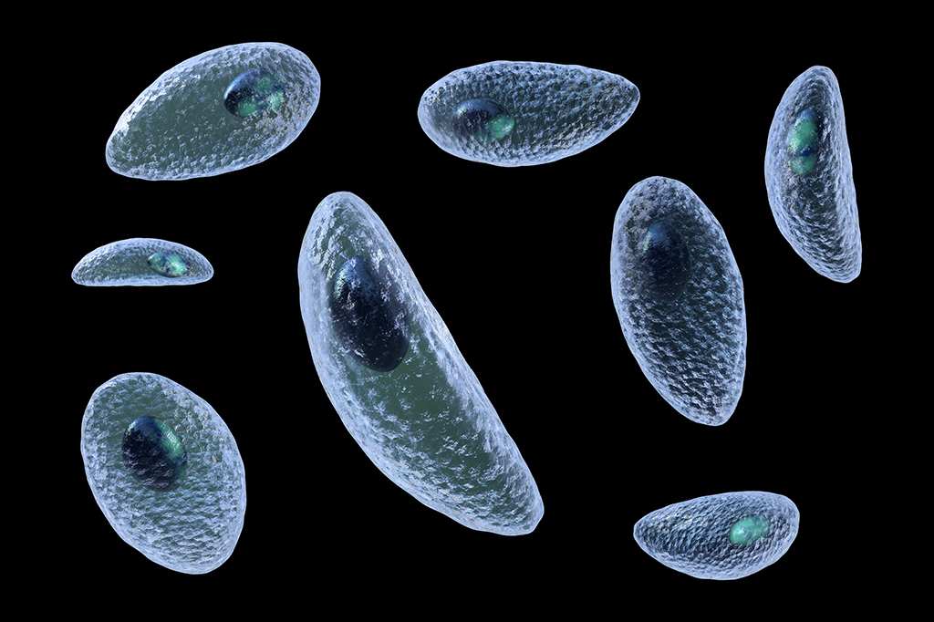 Cavalo de Troia? Vírus é descoberto dentro do parasita da toxoplasmose