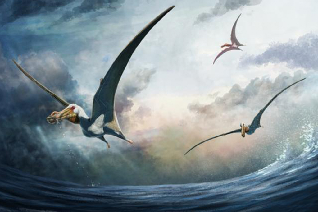 Fazendeiro encontra fóssil de nova espécie de pterossauro na Austrália