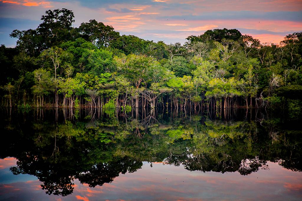 A mais nova área protegida da Amazônia peruana enfrenta uma ameaça existencial