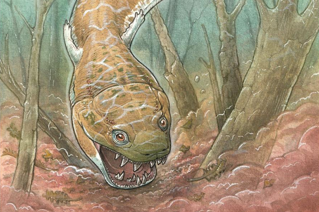 Salamandra de 3 metros mais antiga que dinossauros é descoberta na Namíbia
