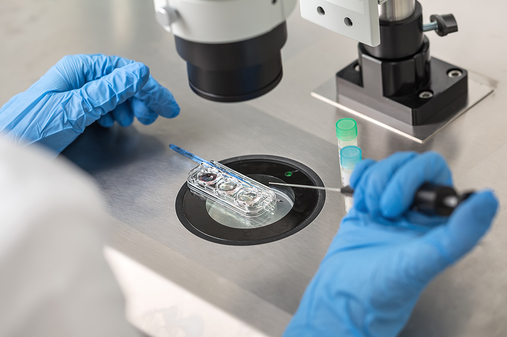 Técnico com luvas azuis controla a verificação do processo de fertilização in vitro usando um microscópio.