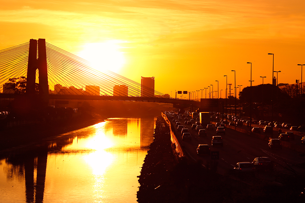 Como garantir a dose necessária de vitamina D – sem suplementos