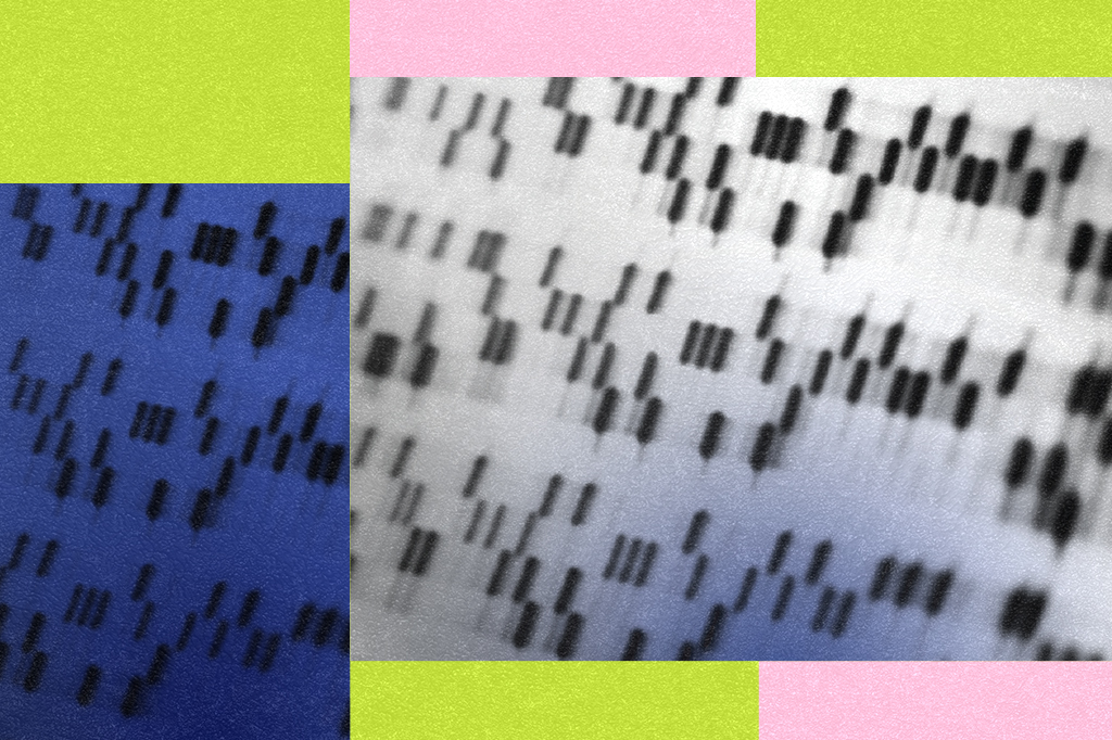Bactéria usa RNA para escrever DNA