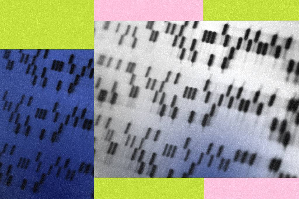 Bactéria usa RNA para escrever DNA