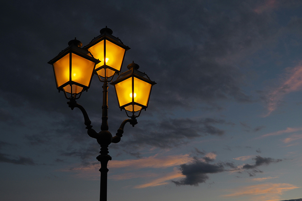 Postes de luz podem endurecer as folhas que os insetos tentam comer
