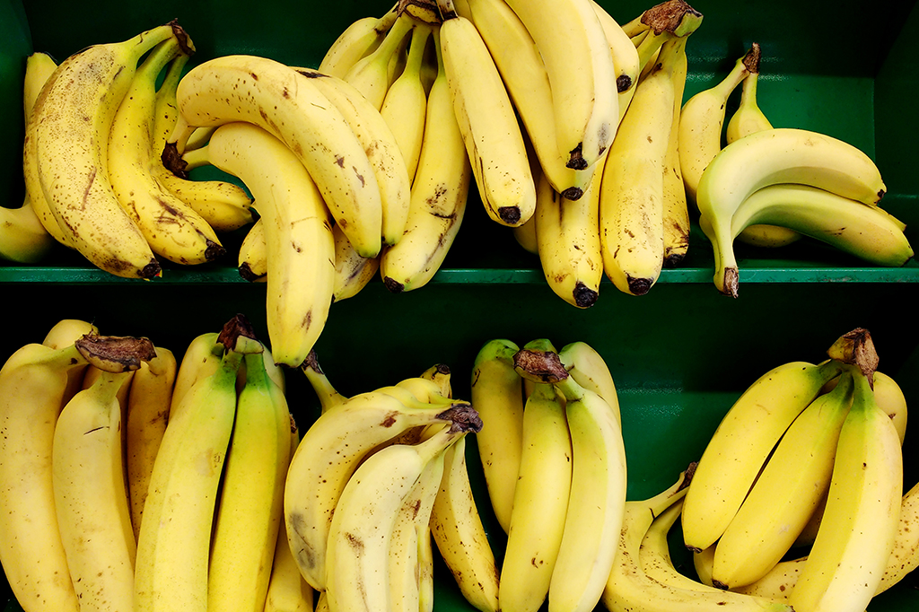 Cientistas descobrem como evitar “apocalipse das bananas”