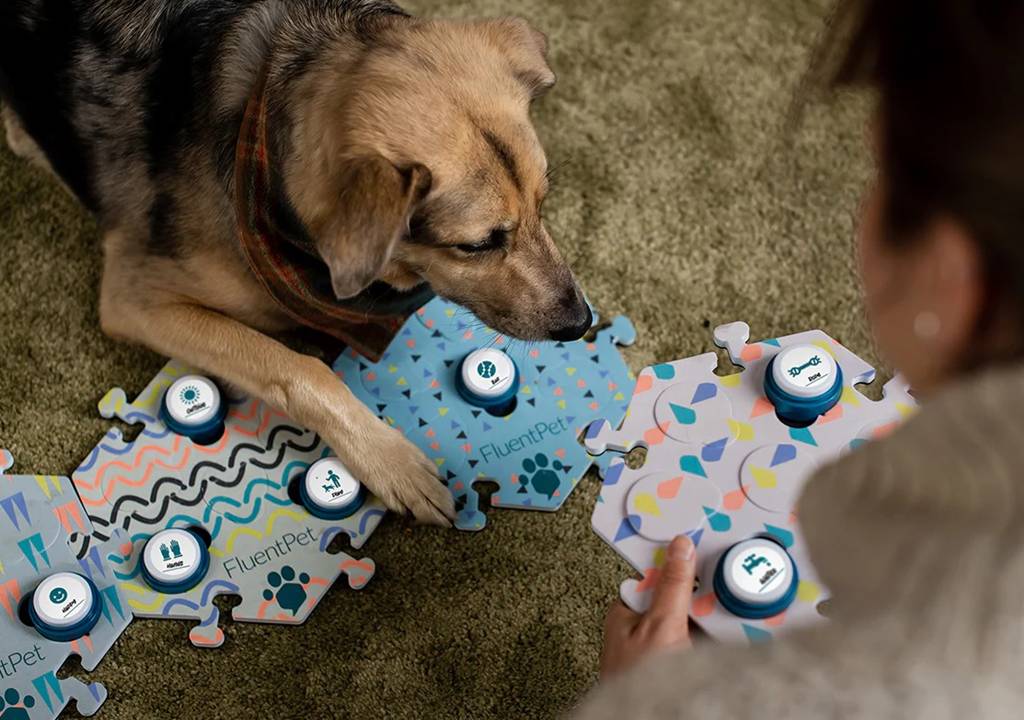 Um cachorro e uma mulher diante um tapete com botões;