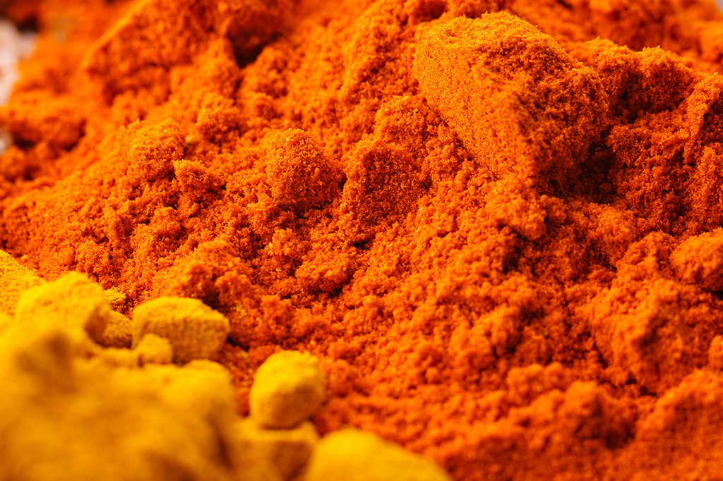 Com corante comum, pesquisadores fazem a pele de animais ficar transparente; veja fotos