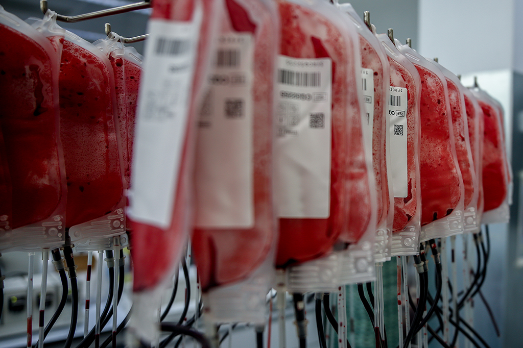 Após meio século, cientistas descobrem 47º sistema de grupo sanguíneo