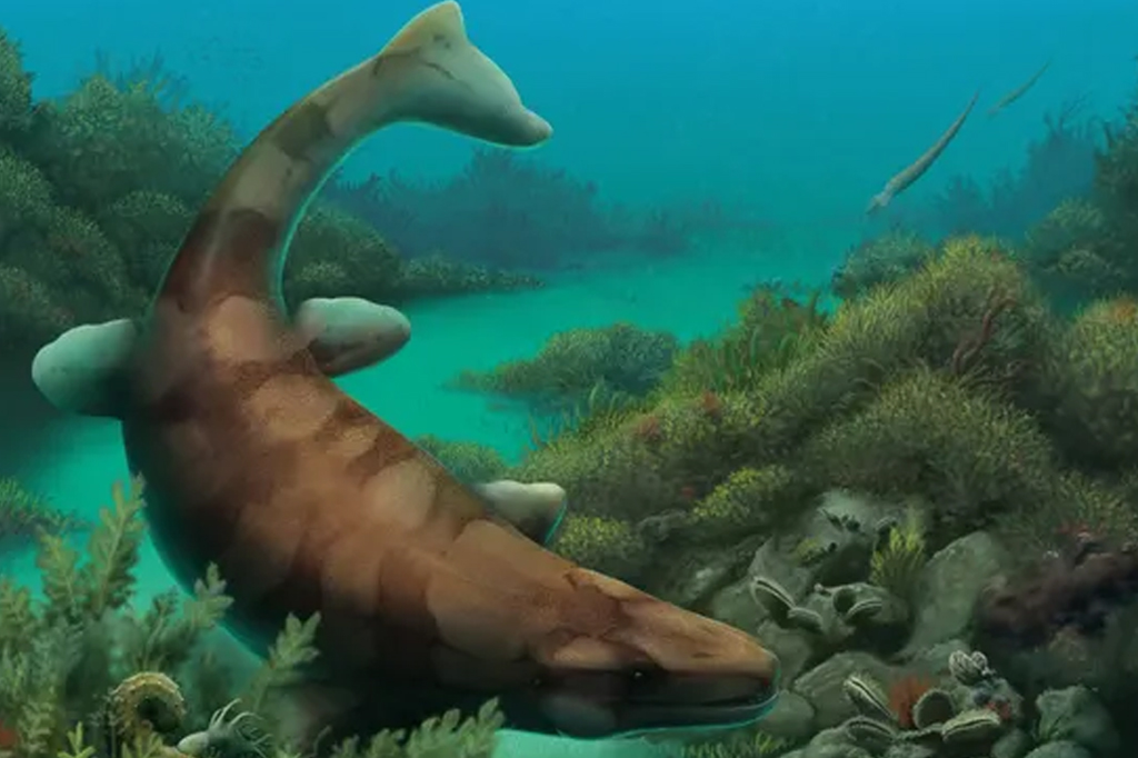 Fóssil de tubarão pré-histórico de 80 milhões de anos é descoberto nos EUA