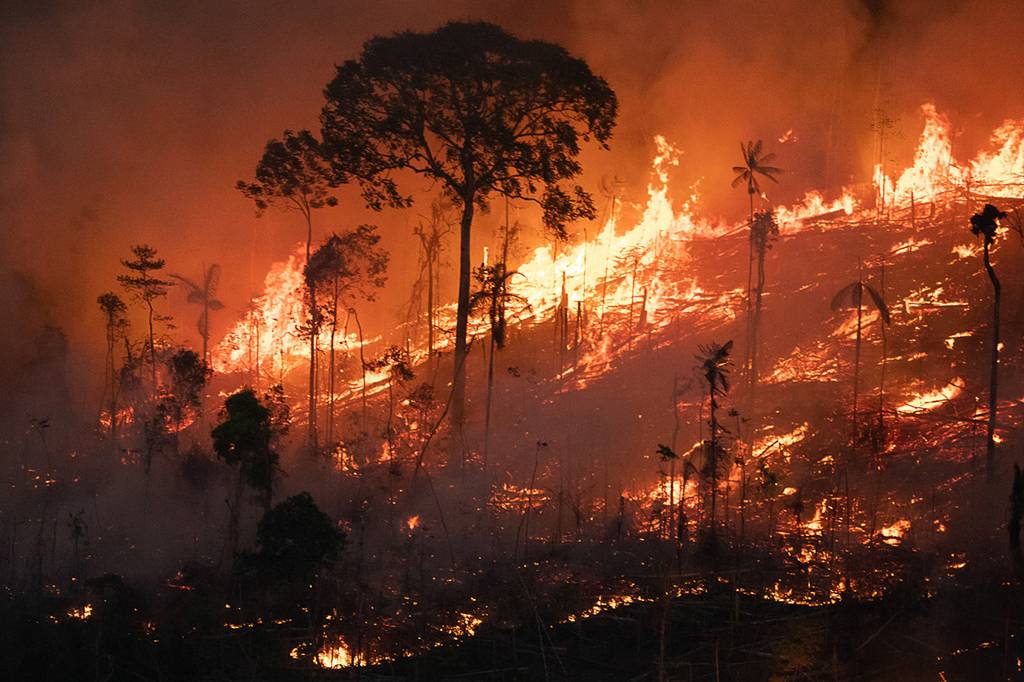 Queimadas exigem combate ao desmatamento e incentivo ao uso sustentável da terra