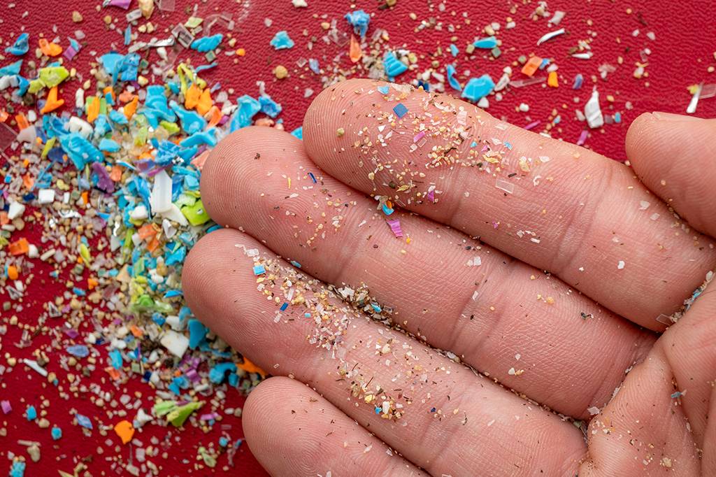 Pesquisadores brasileiros encontraram microplásticos em cérebros humanos