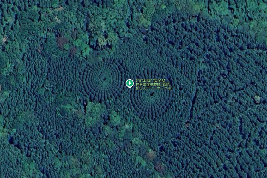 2409-floresta-circular-japao-super-site(2) Captura de tela d Google Maps.