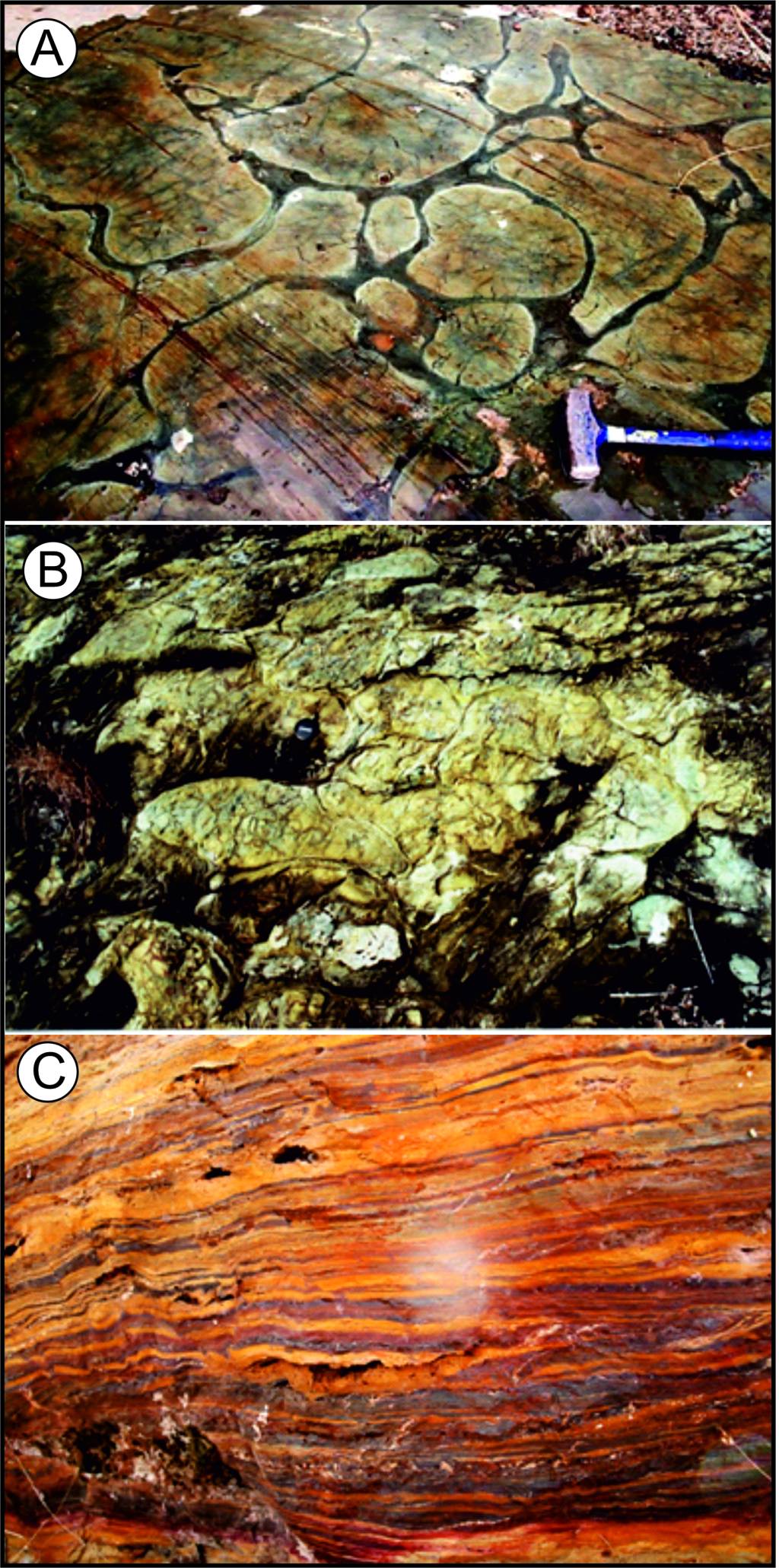 Figura 3 Rochas Fundo oceânico-Araguaia Figura 3 – Rochas típicas de fundo oceânico identificadas em afloramentos da Serra do Tapa: A) Estruturas em almofadas de rochas vulcânicas basálticas (Pillow Basalts) com visão de cima da superfície da lava; B) Visão em perfil da camada de lava almofadada; C) Rocha sedimentar estratificada ferrífera-silicosa.