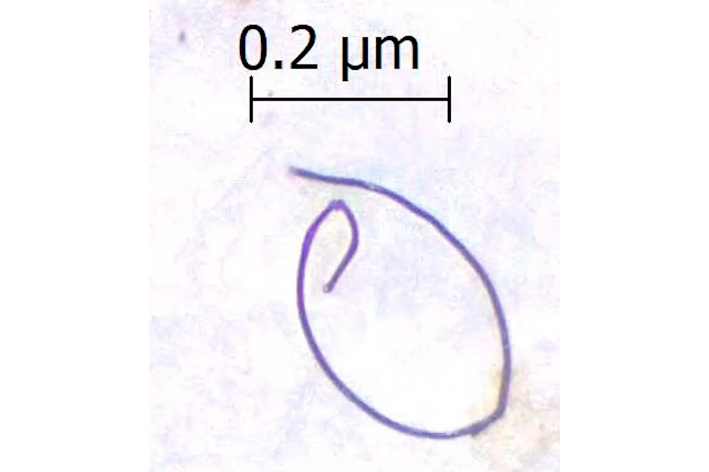 Foto de uma fibra plástica microscópica.