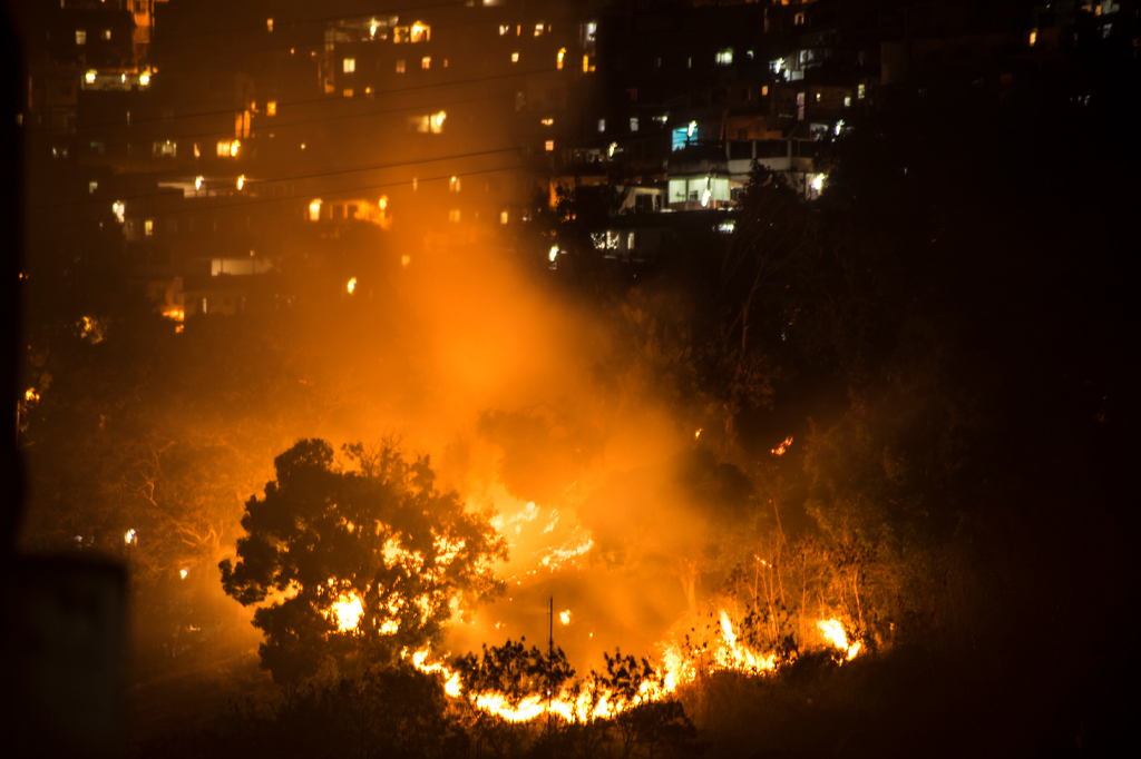 Ao destroçar a mata nativa, o agronegócio cava a própria cova