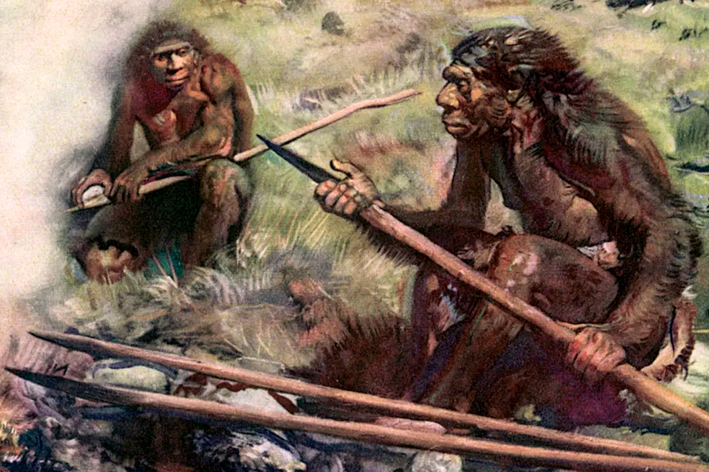 Entrevista: como o ser humano evoluiu em meio aos primatas?