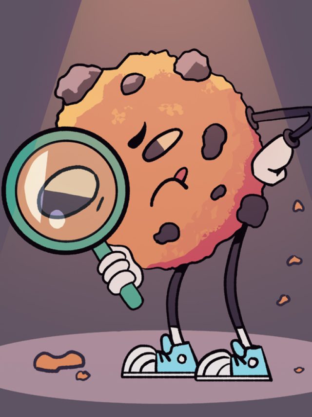 Por que os cookies de internet têm esse nome?