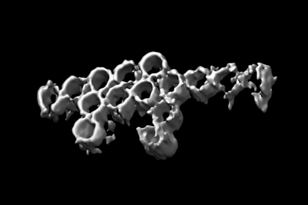 Imagem de um DNA de dinossauro em nanoescala visto através de microscópio crioeletrônico.