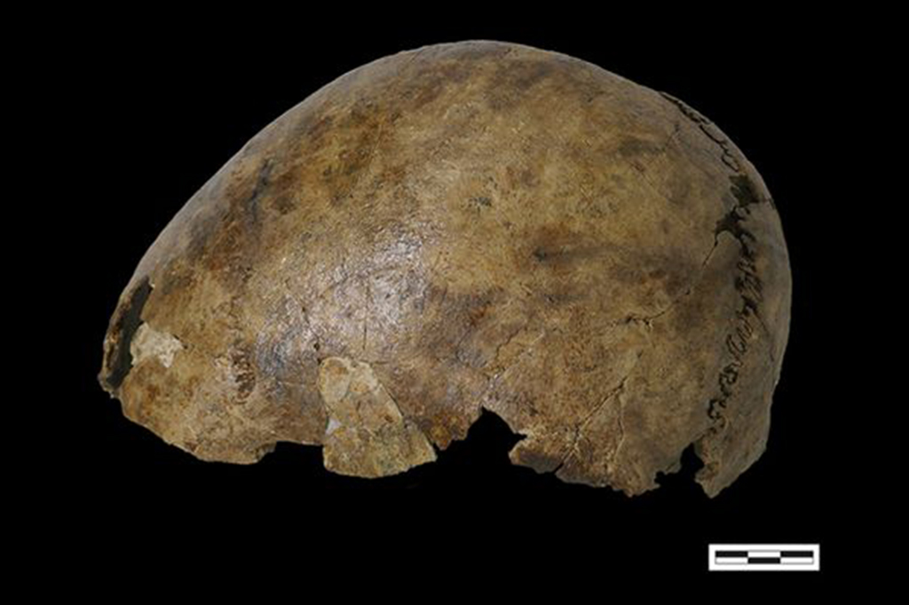 Encontrado esqueleto formado por ossos de cinco pessoas que viveram ao longo de 2.500 anos