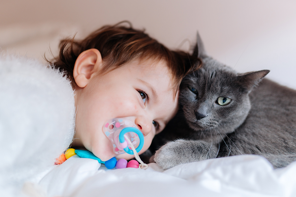 Gatos entendem palavras melhor que bebês humanos, revela pesquisa