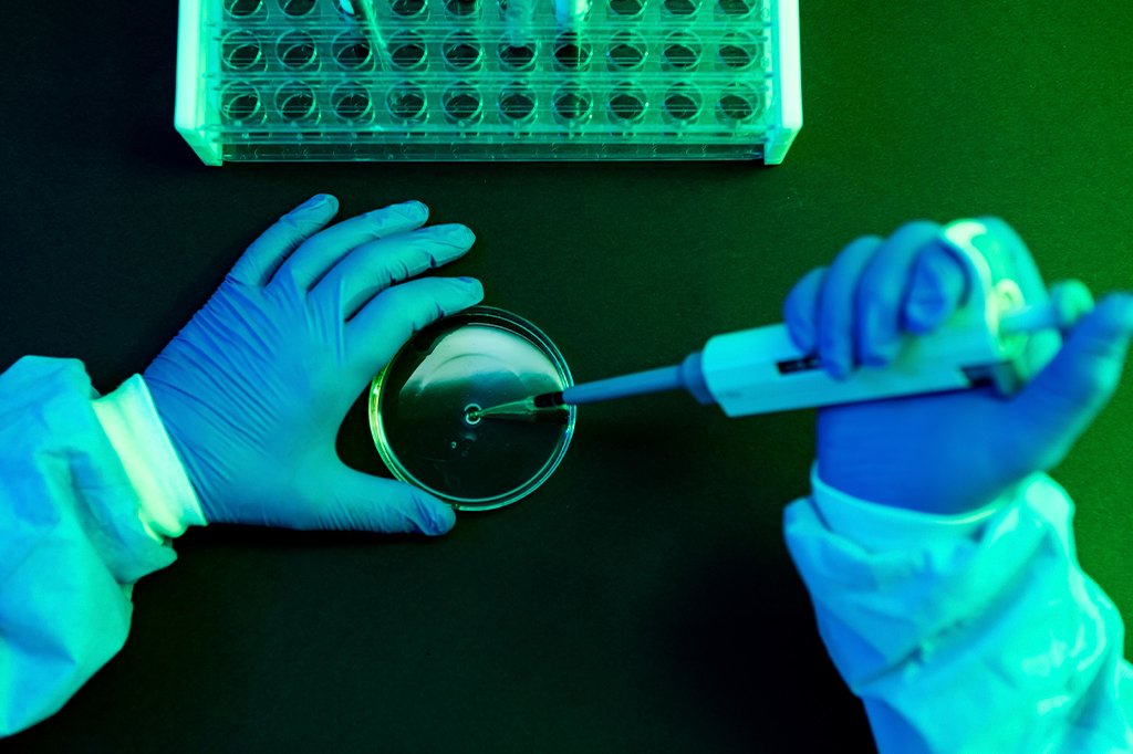 Foto de vista aérea das mãos de um cientista derramando fluido com a pipeta em uma placa de Petri em um laboratório com uma atmosfera verde.
