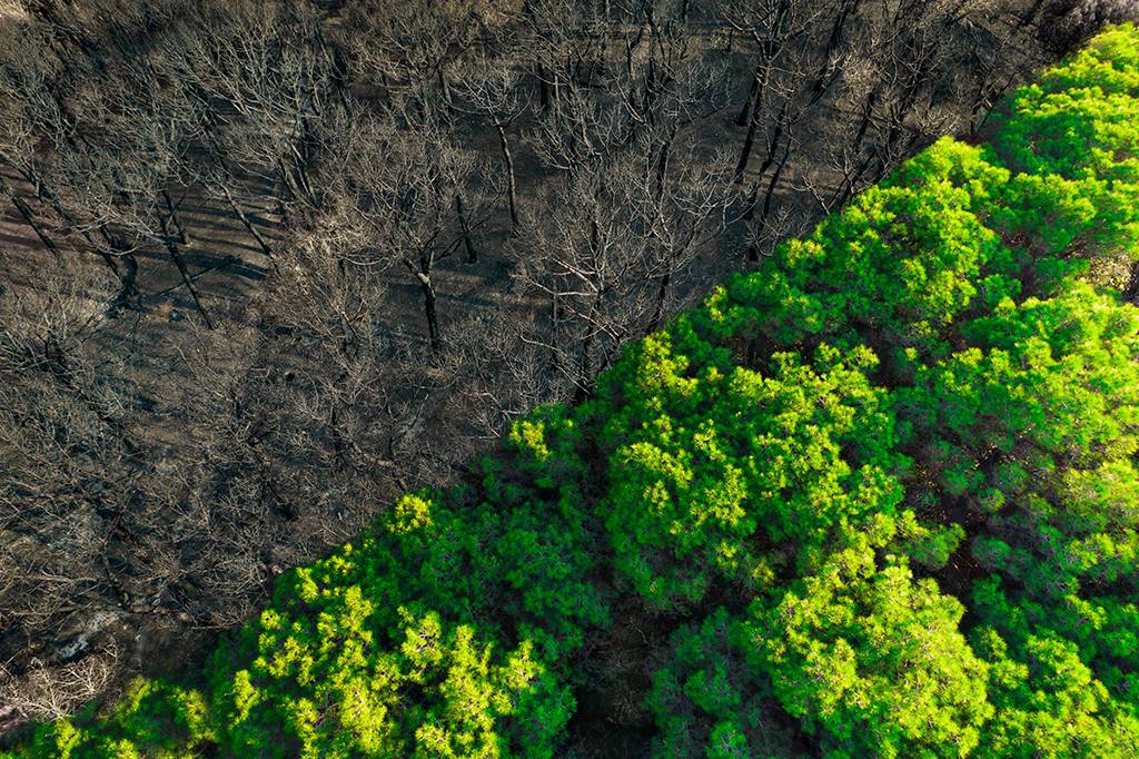 Sem coordenação internacional, haverá mais desigualdade e retrocesso ambiental