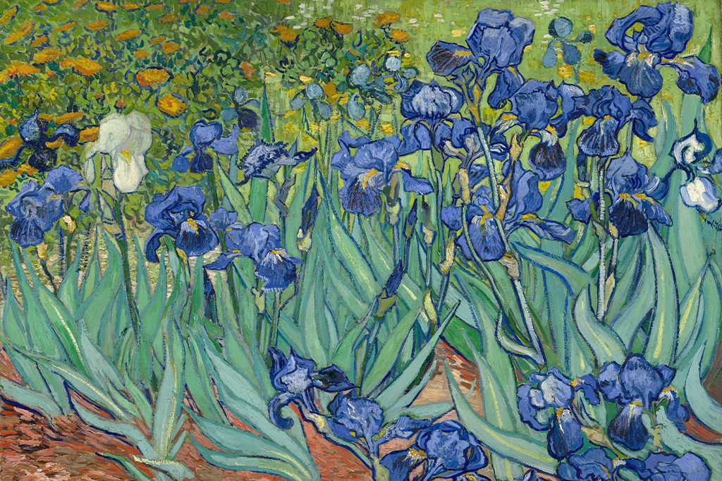 As flores azuis brilhantes de Vincent van Gogh eram originalmente roxas
