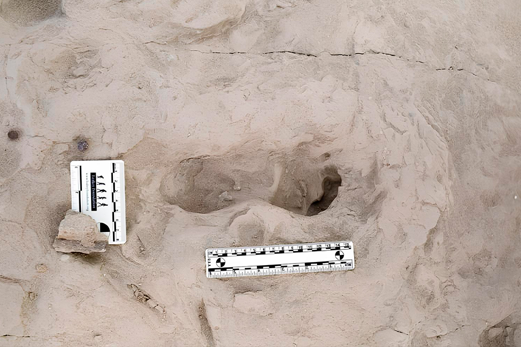 Foto das pegadas encontradas na Bacia de Turkana.
