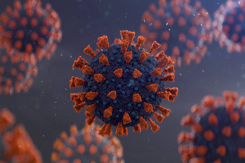 Pesquisadores brasileiros descobrem gene que pode proteger contra a Covid-19