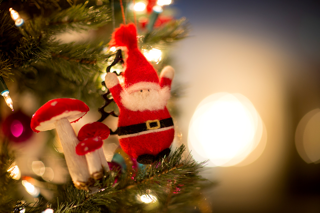 Conheça o mito escandinavo que relaciona Papai Noel a uma substância alucinógena