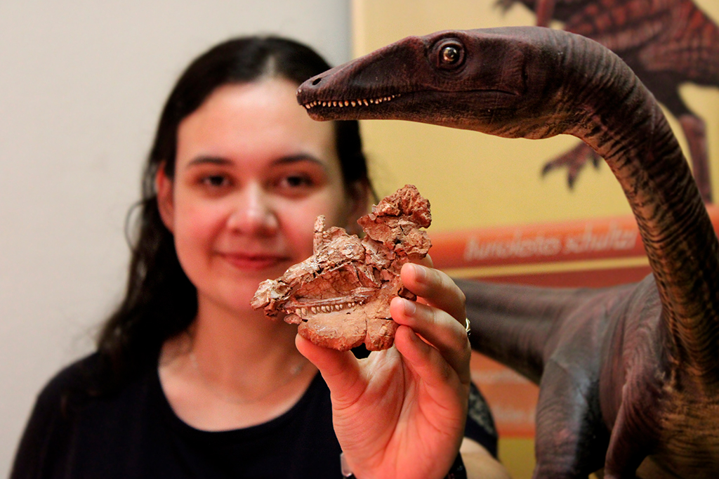 Um dinossauro chamado Gracinha: pesquisa revela rosto de espécie gaúcha de 230 milhões de anos