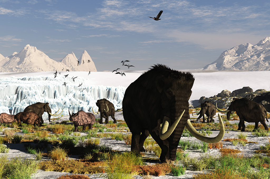 Pela primeira vez, pesquisadores reconstroem clima da “ponte terrestre” de Bering