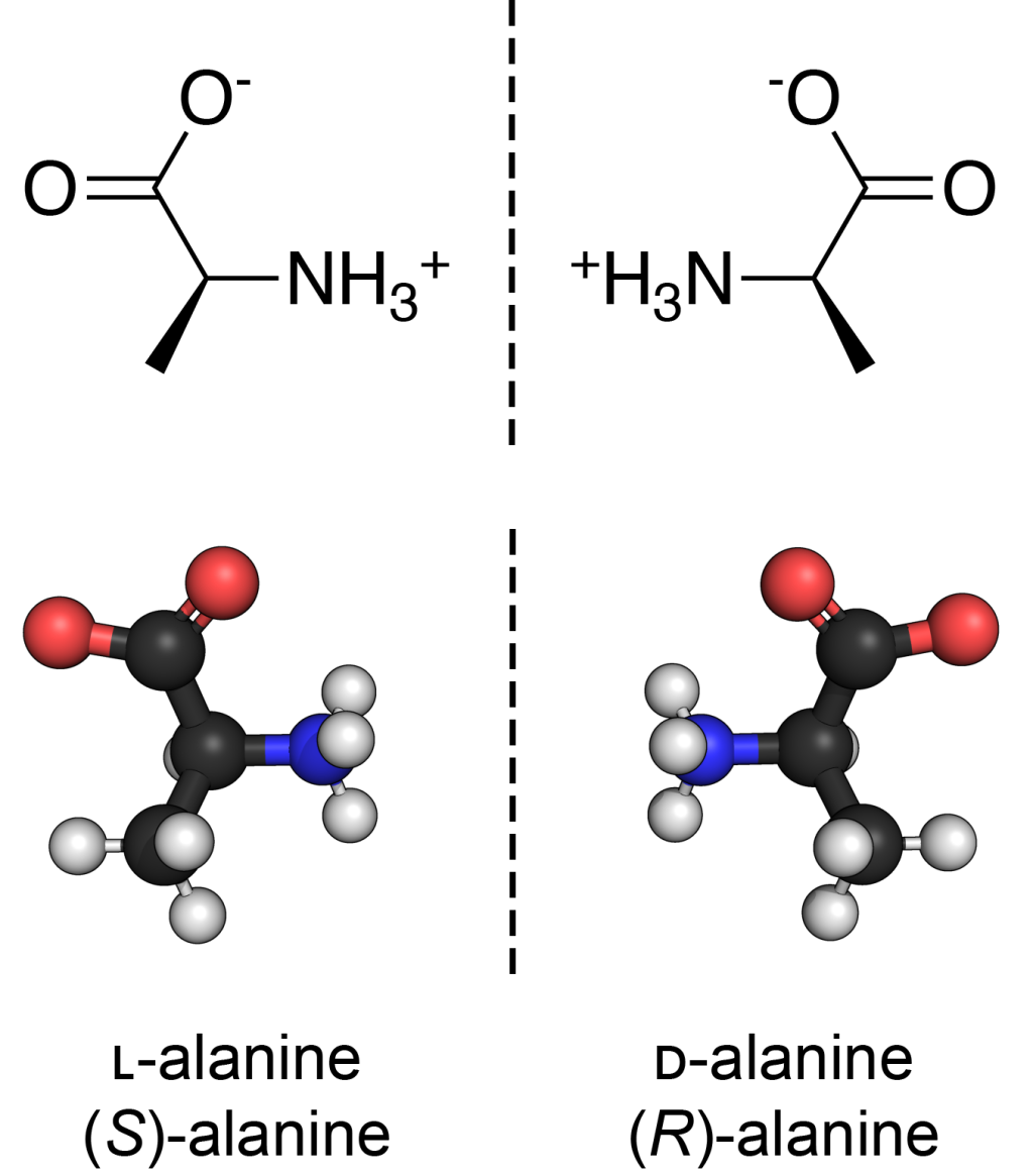 (S)-Alanine (left) and (R)-alanine (right) in zwitterionic form at neutral pH