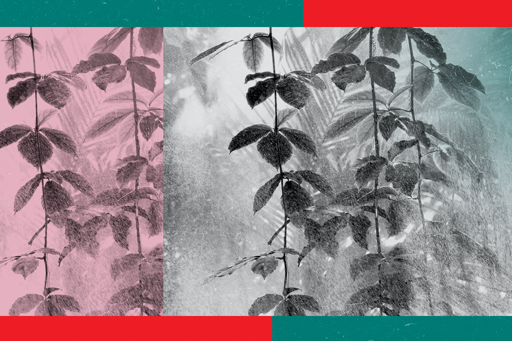 Nanopartículas estimulam chuva na Amazônia