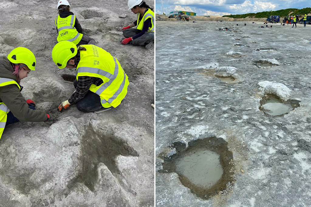 O que é a “estrada dos dinossauros” de 166 milhões de anos, descoberta na Inglaterra