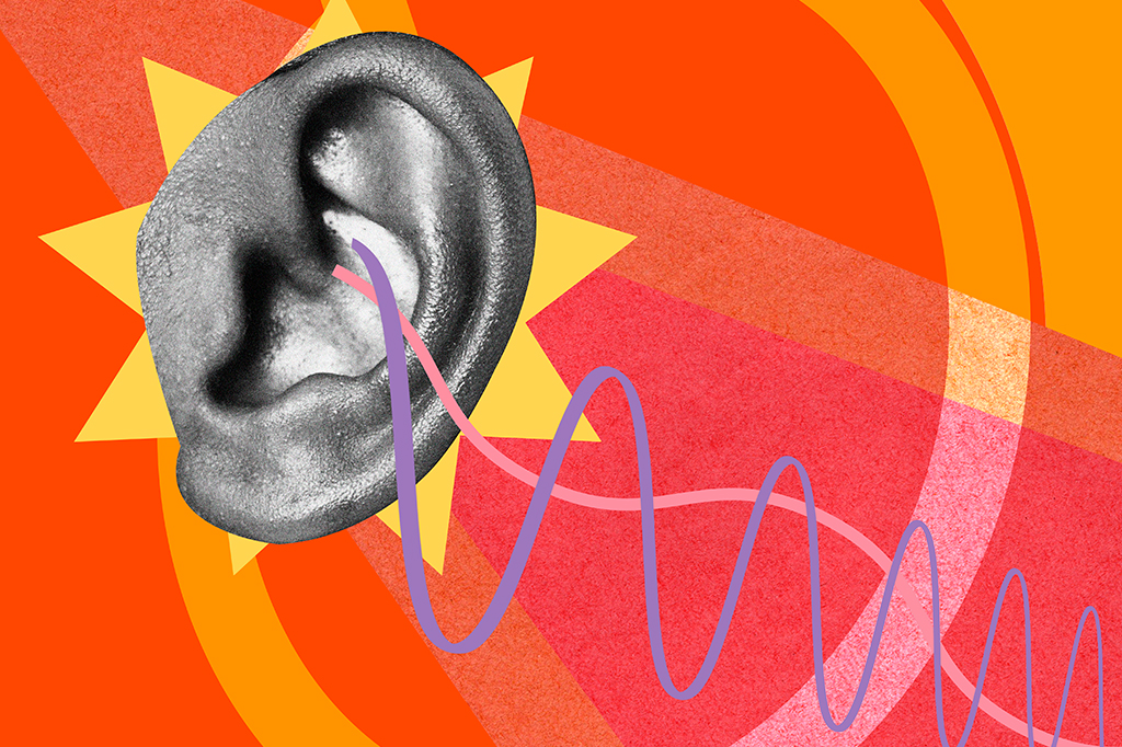 De onde vieram as orelhas? Estudos explicam origem do órgão