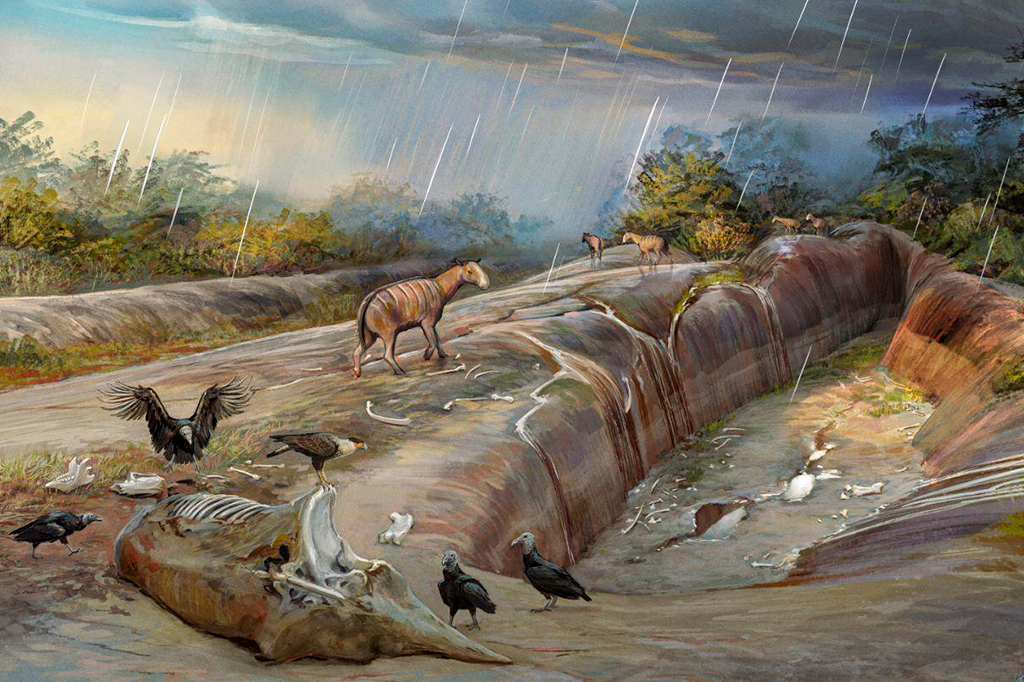 Em estudo revolucionário, paleontólogos revisam datação da megafauna brasileira