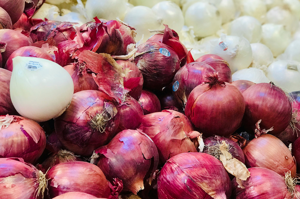 Por que cachorro não pode comer cebola?