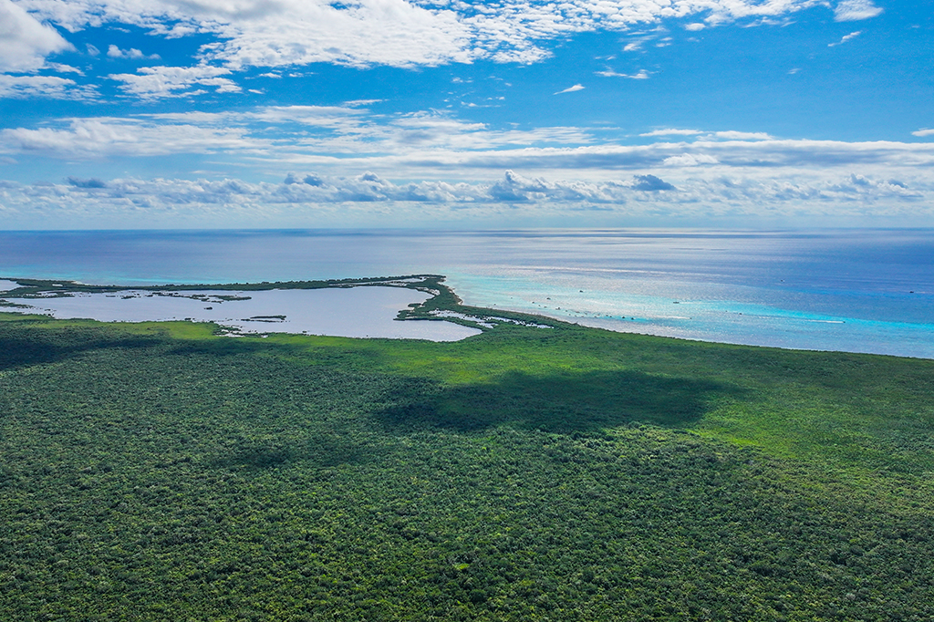 Humanos já viviam em florestas tropicais há 150 mil anos, diz estudo
