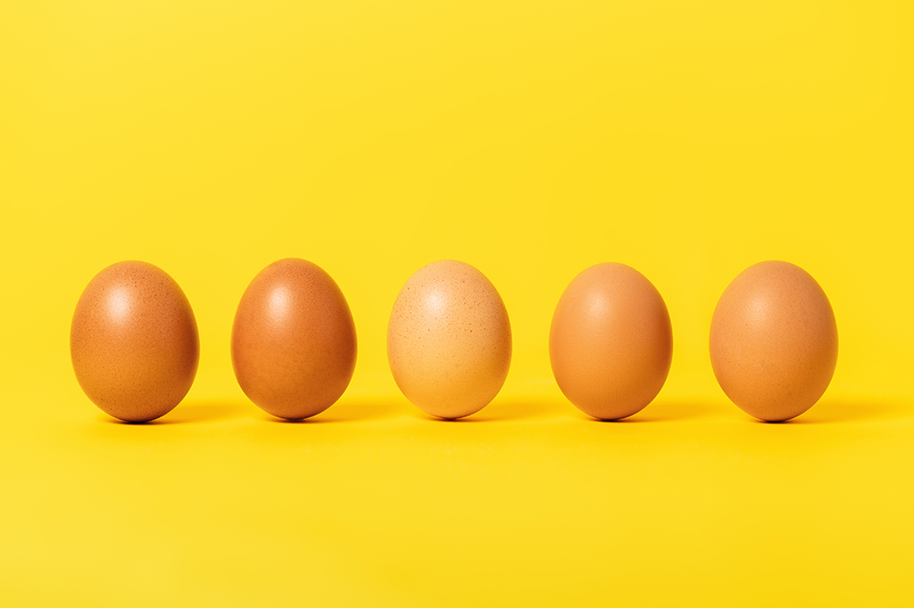 Como cozinhar um ovo perfeito, de acordo com a ciência