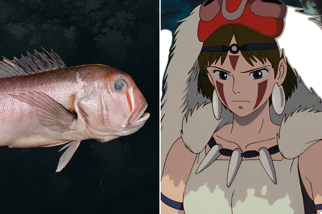 Peixe com listras no rosto é nomeado em homenagem a personagem do Studio Ghibli