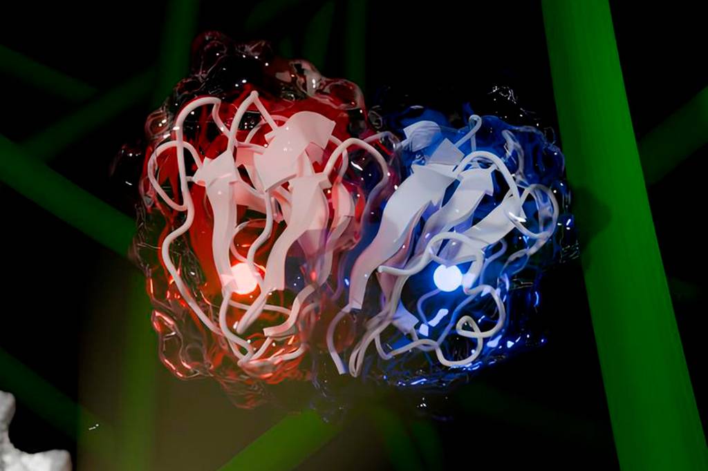 Cientistas brasileiros descobriram enzima que pode aumentar produção de biocombustíveis