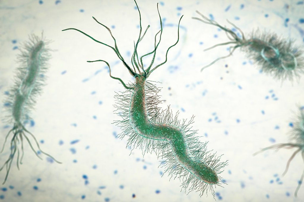 Bactérias em nossos estômagos são exemplo de como vida extraterrestre pode existir em ambientes extremos