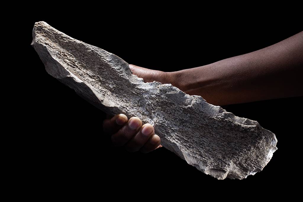 Cientistas encontram ferramentas de 1,5 milhão de anos feitas com ossos de elefantes e hipopótamos