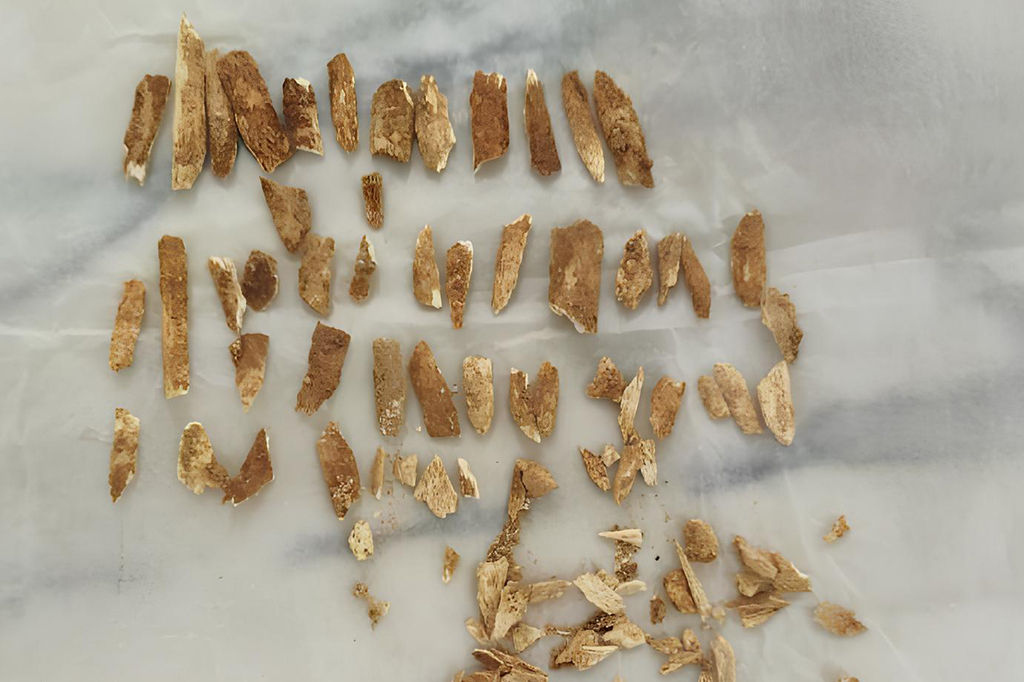 Cientistas descobrem idade de esqueleto de criança com características de humano e neandertal