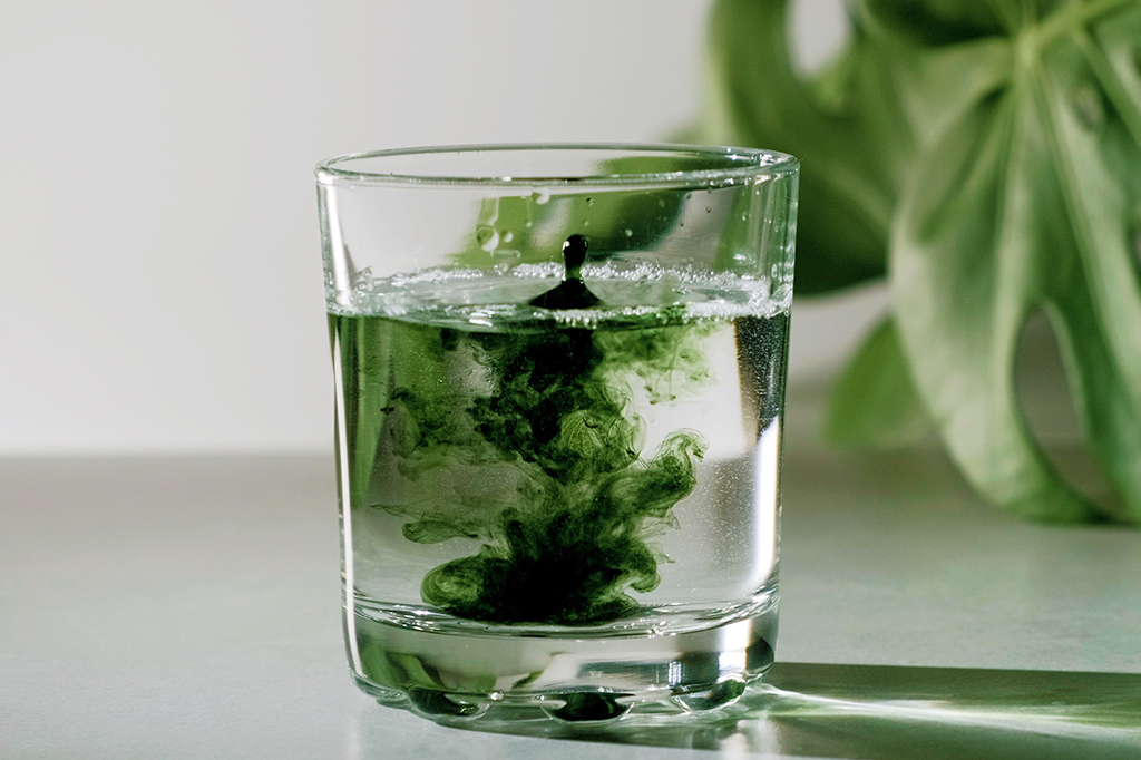 A verdade sobre os suplementos de clorofila