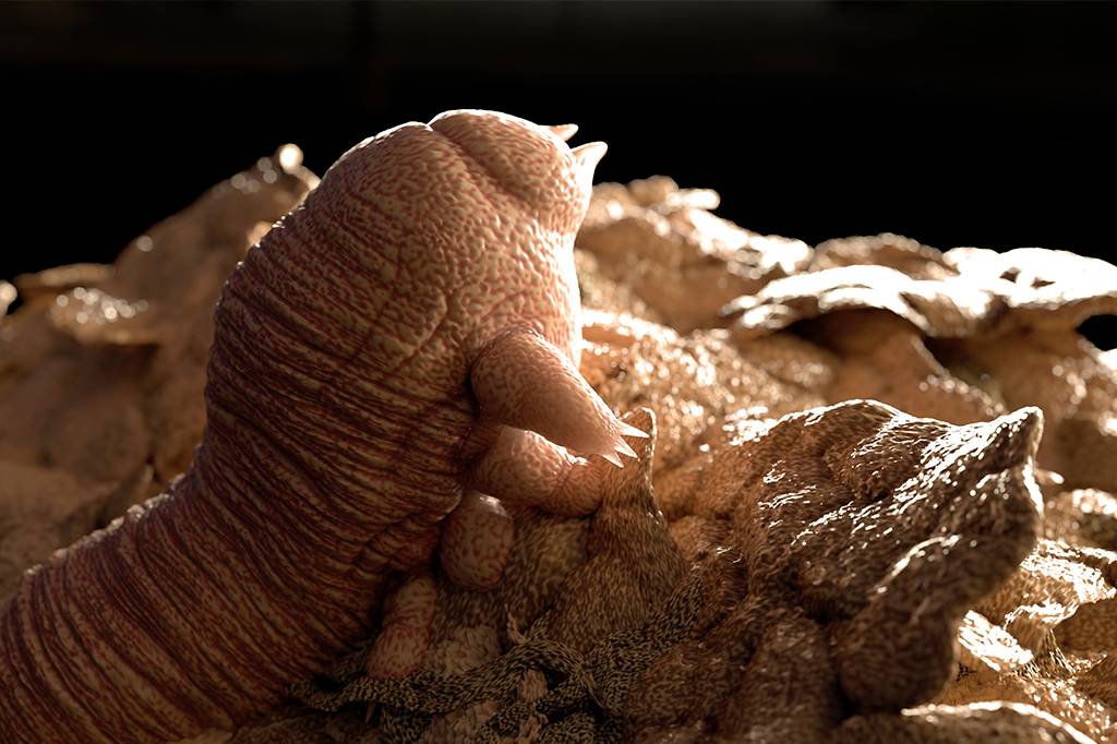 Demodex: conheça os aracnídeos que moram nos poros do seu rosto