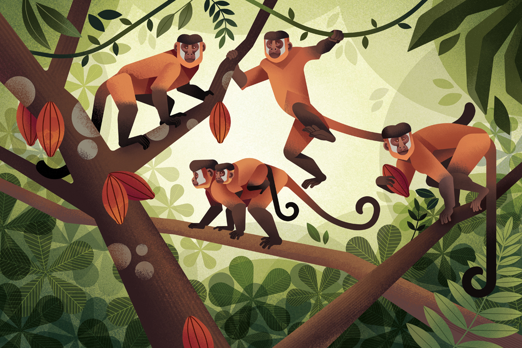 Ilustração de macacos-prego andando nos galhos de uma árvore.